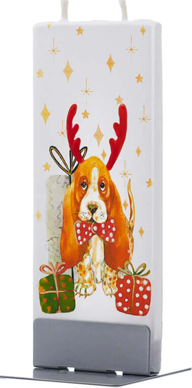 Cane con regali di Natale