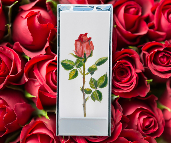 10% di sconto sul tuo primo ordine online!