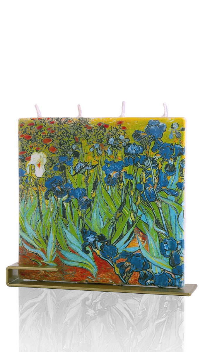 Vincent van Gogh - Schwertlilien