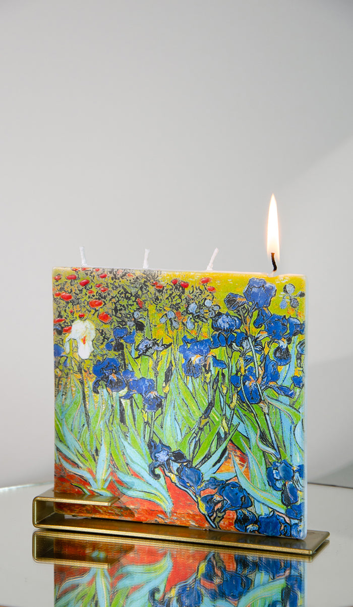 Vincent van Gogh - Schwertlilien