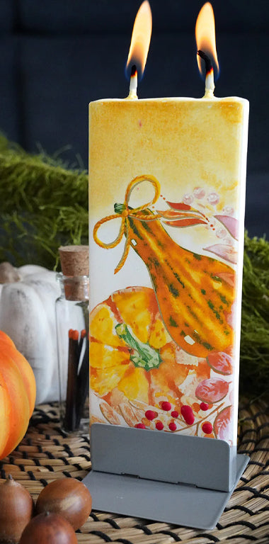 Zucche d&#39;autunno e le bacche rosse