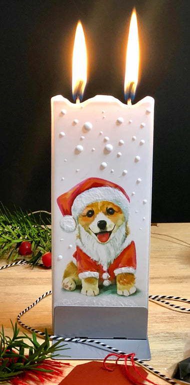 Weihnachtsmann-Hund