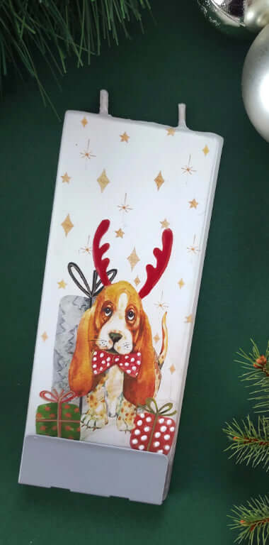 Cane con regali di Natale