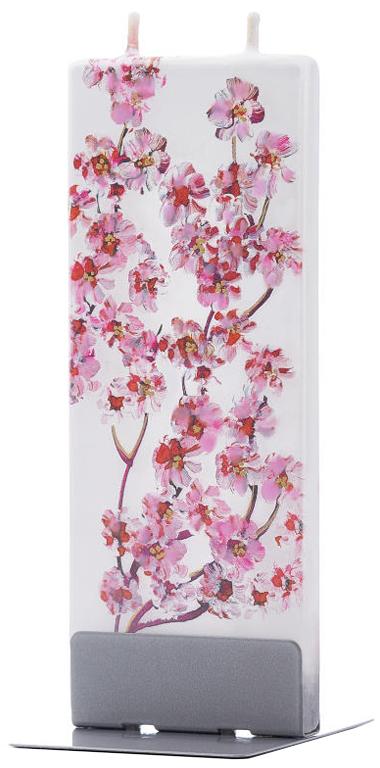 Fiori di ciliegio (Sakura)