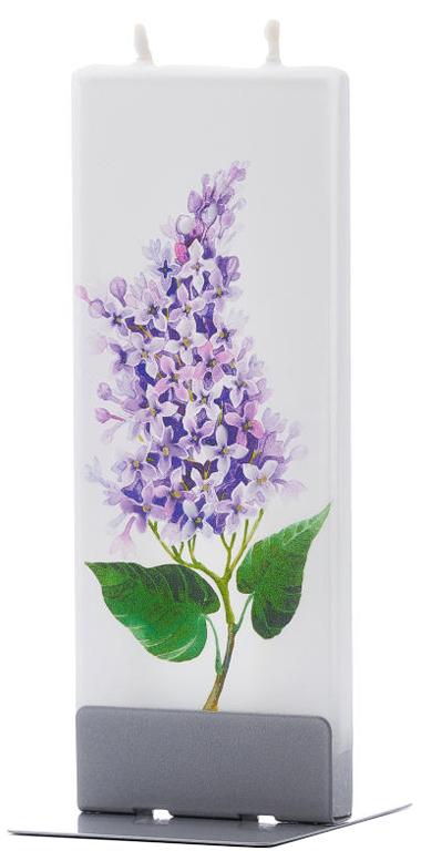 Lillà viola