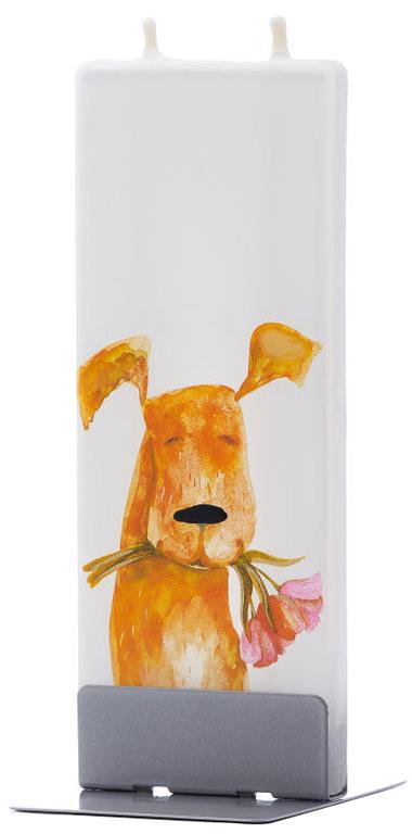 Cane con i fiori rosa in bocca